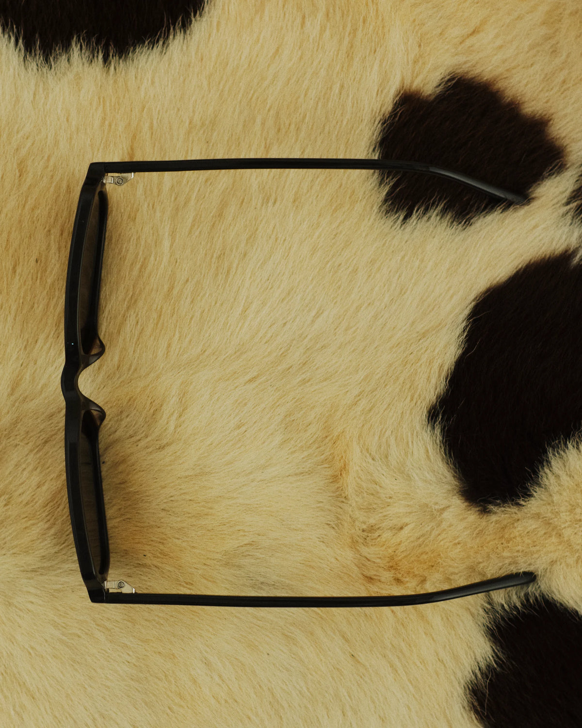 TUDI Elio eyewear, styled still life, black frame; dark lenses